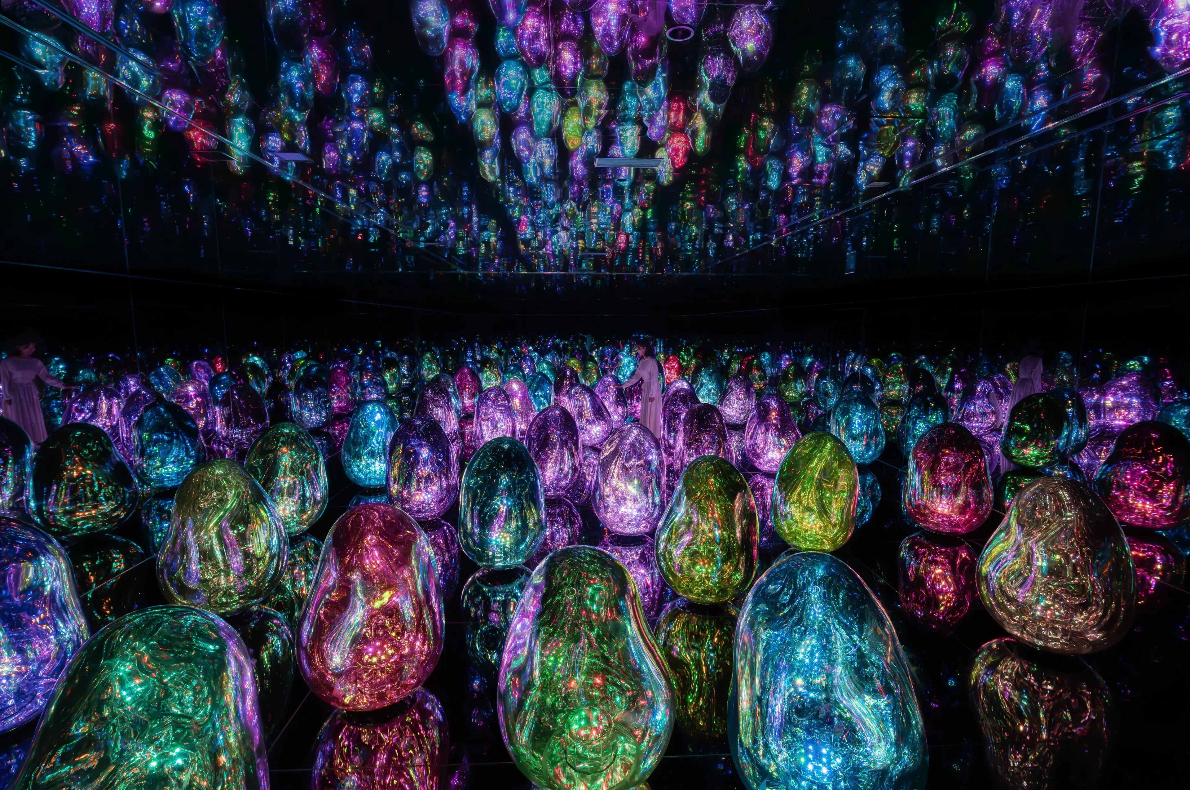 展示テーマ画像