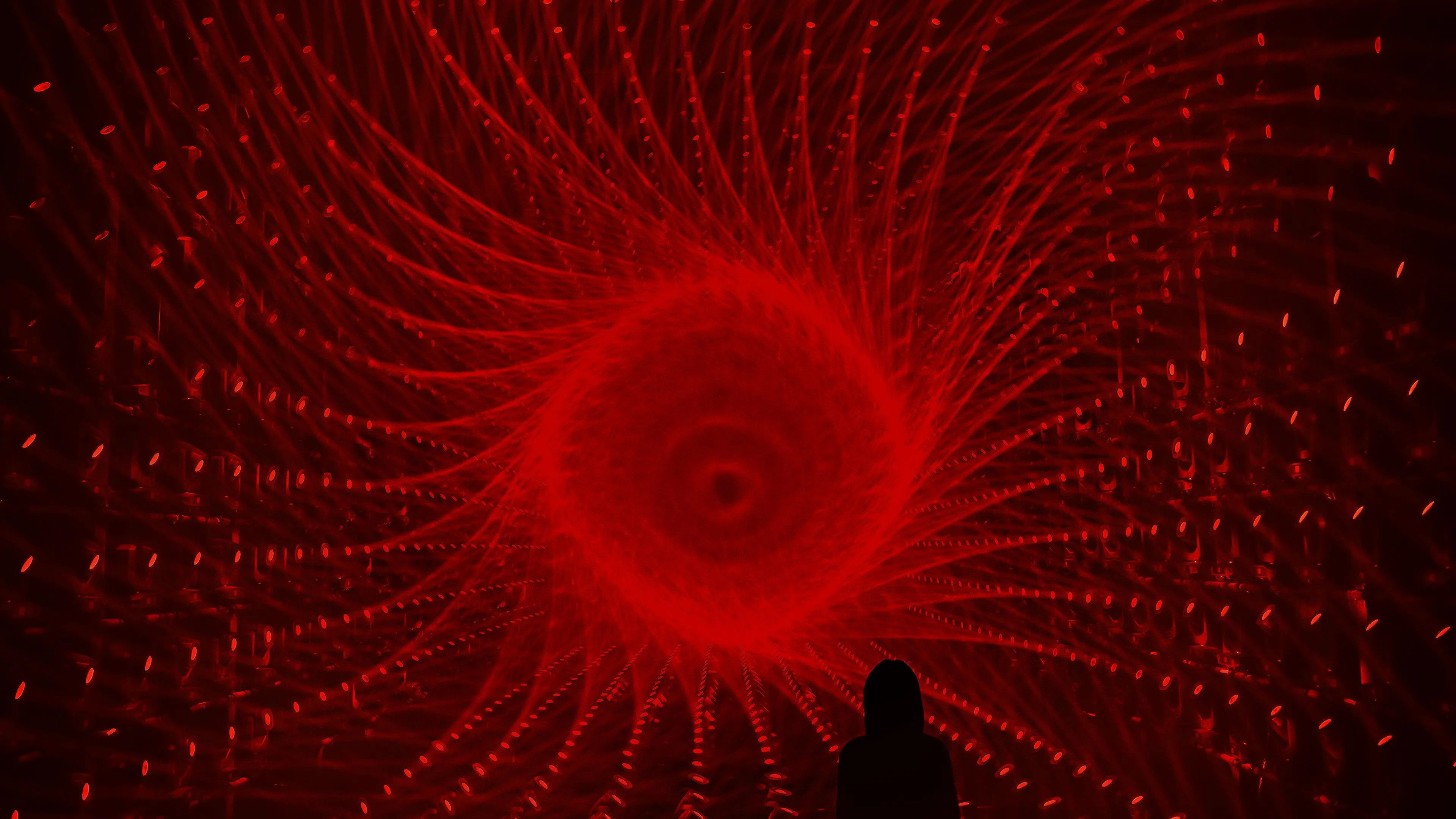 展示テーマ画像