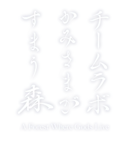 ロゴ画像
