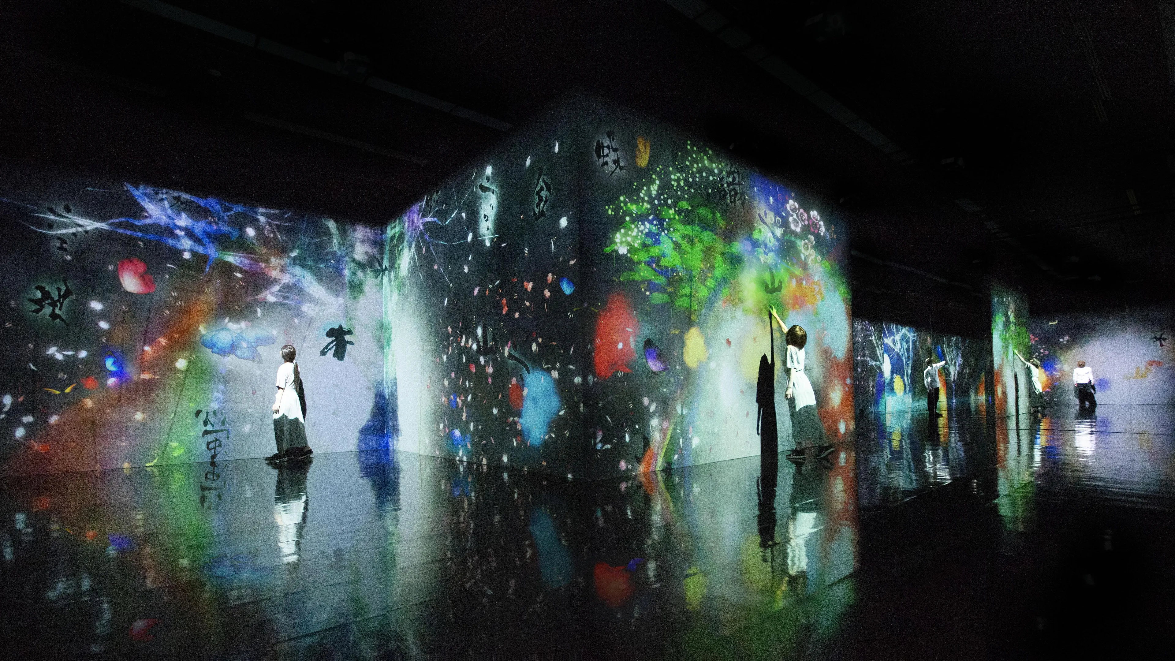 展示画像