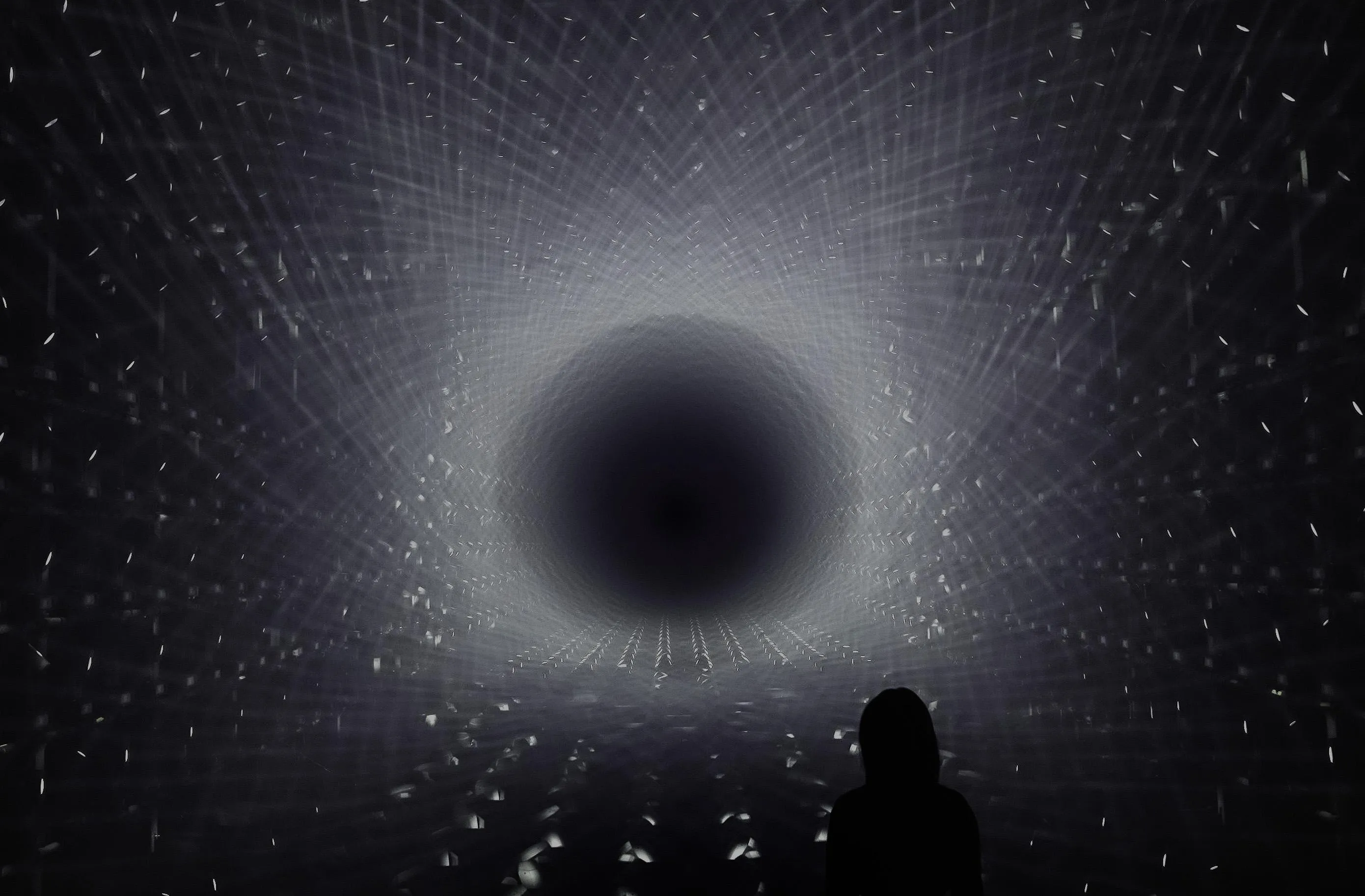 展示テーマ画像