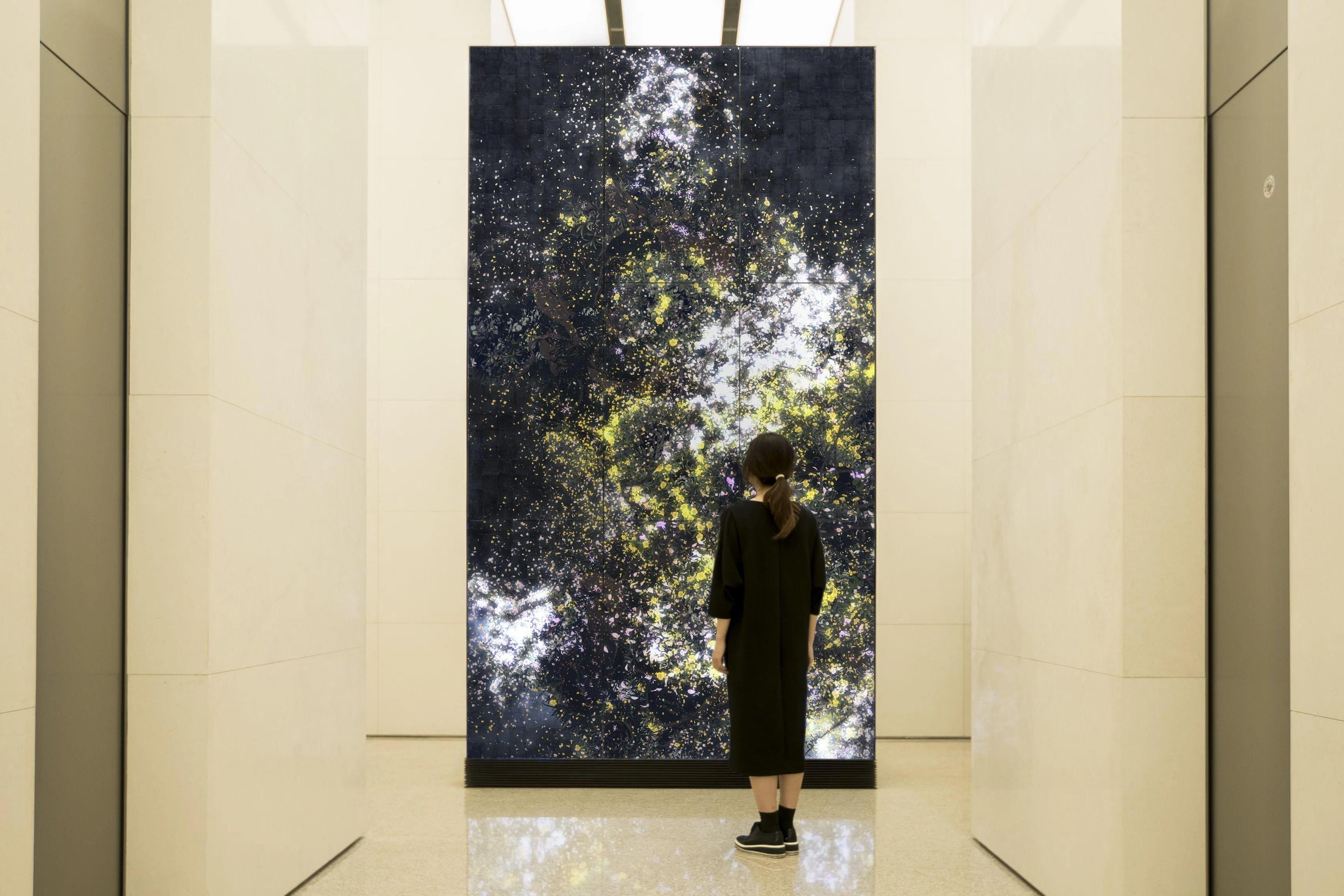 近くの展示画像