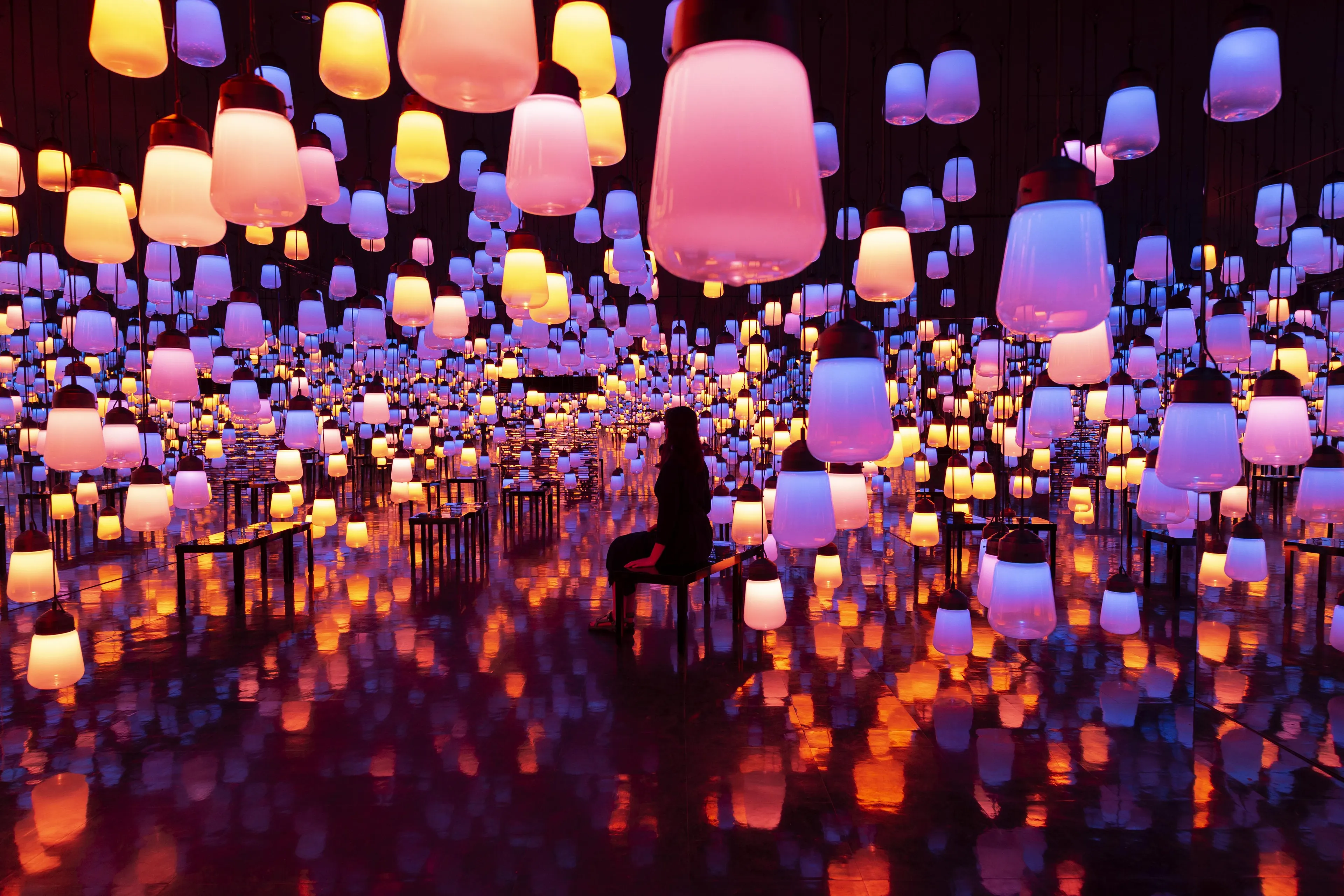 新着作品展示画像