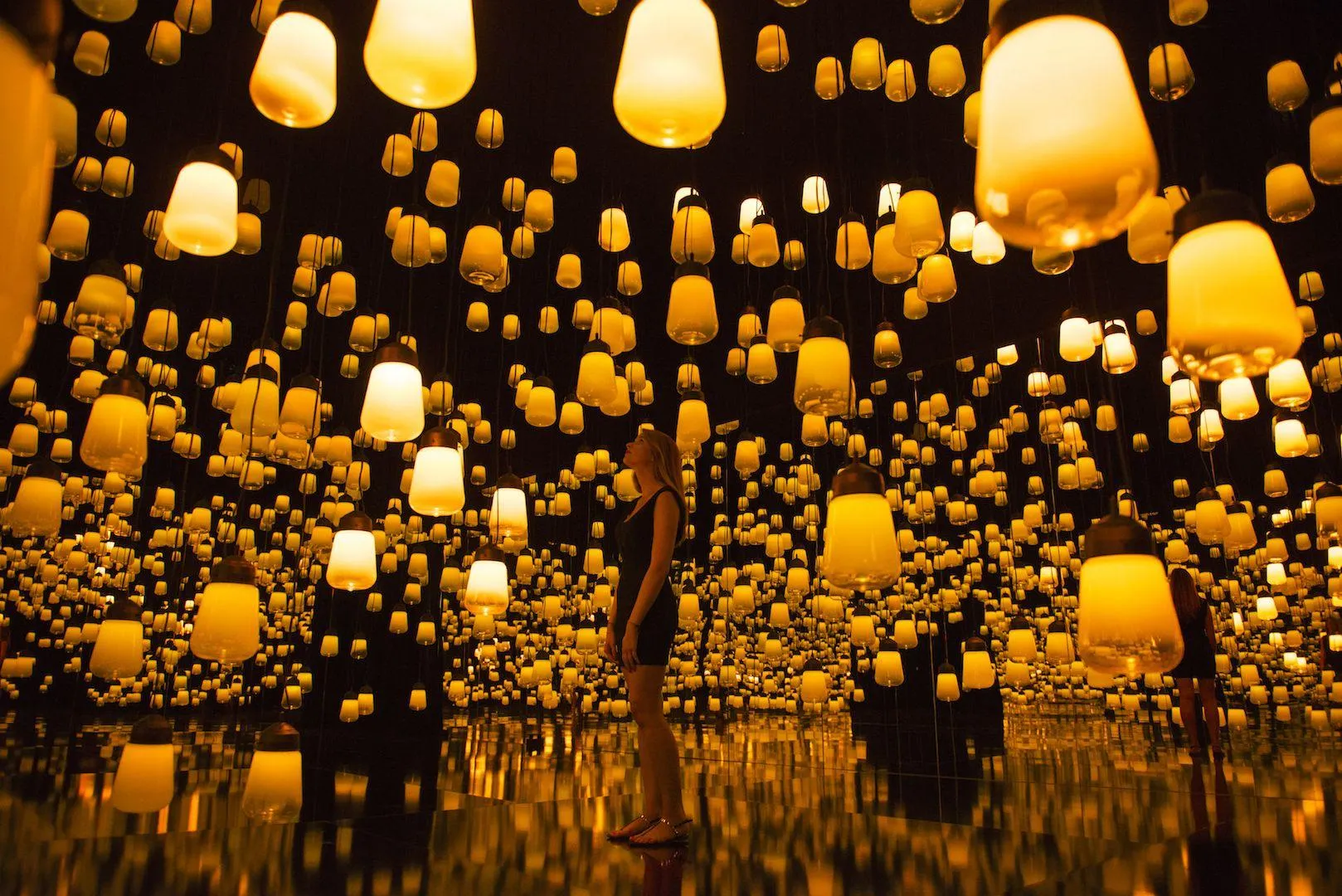 展示画像
