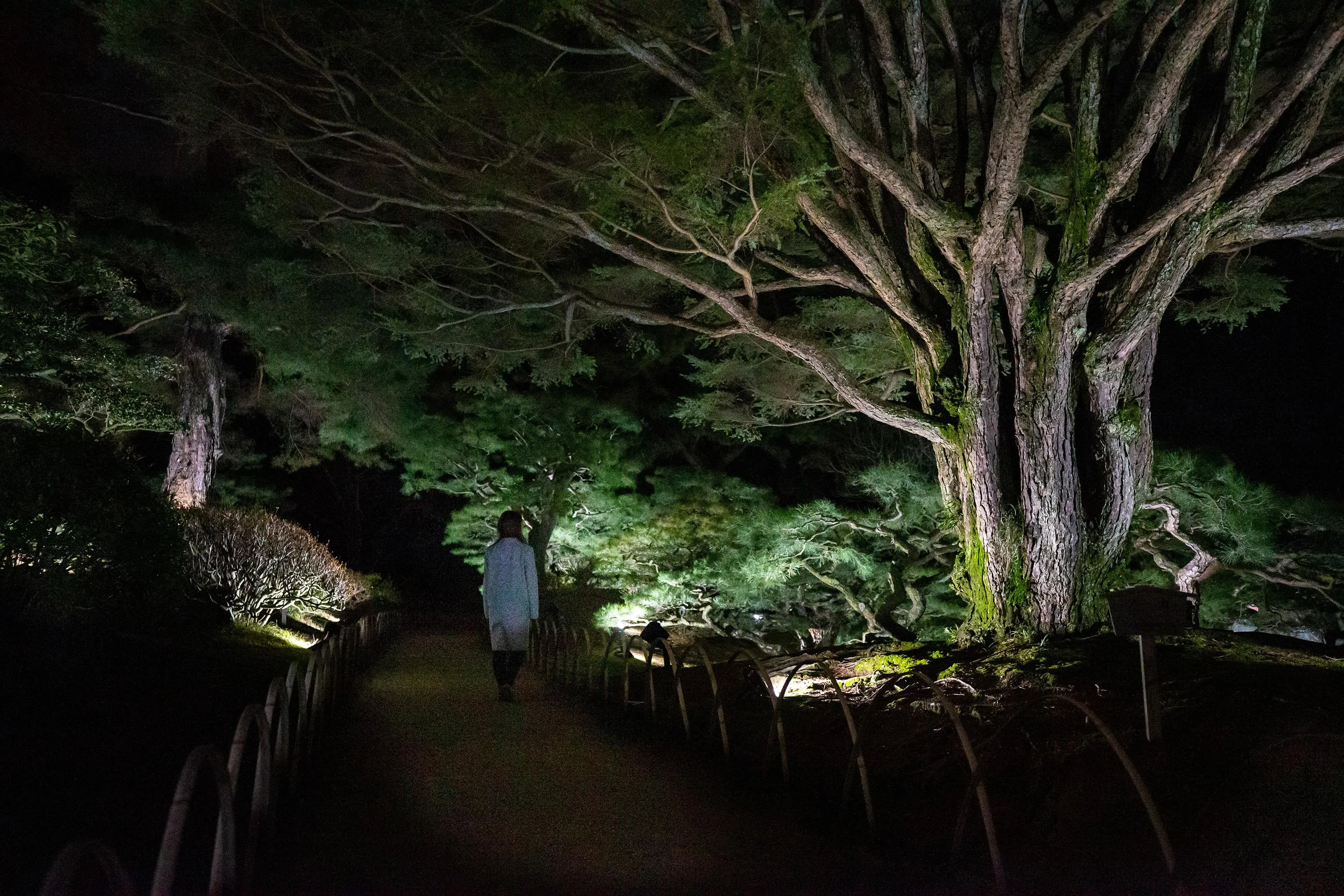 関連画像