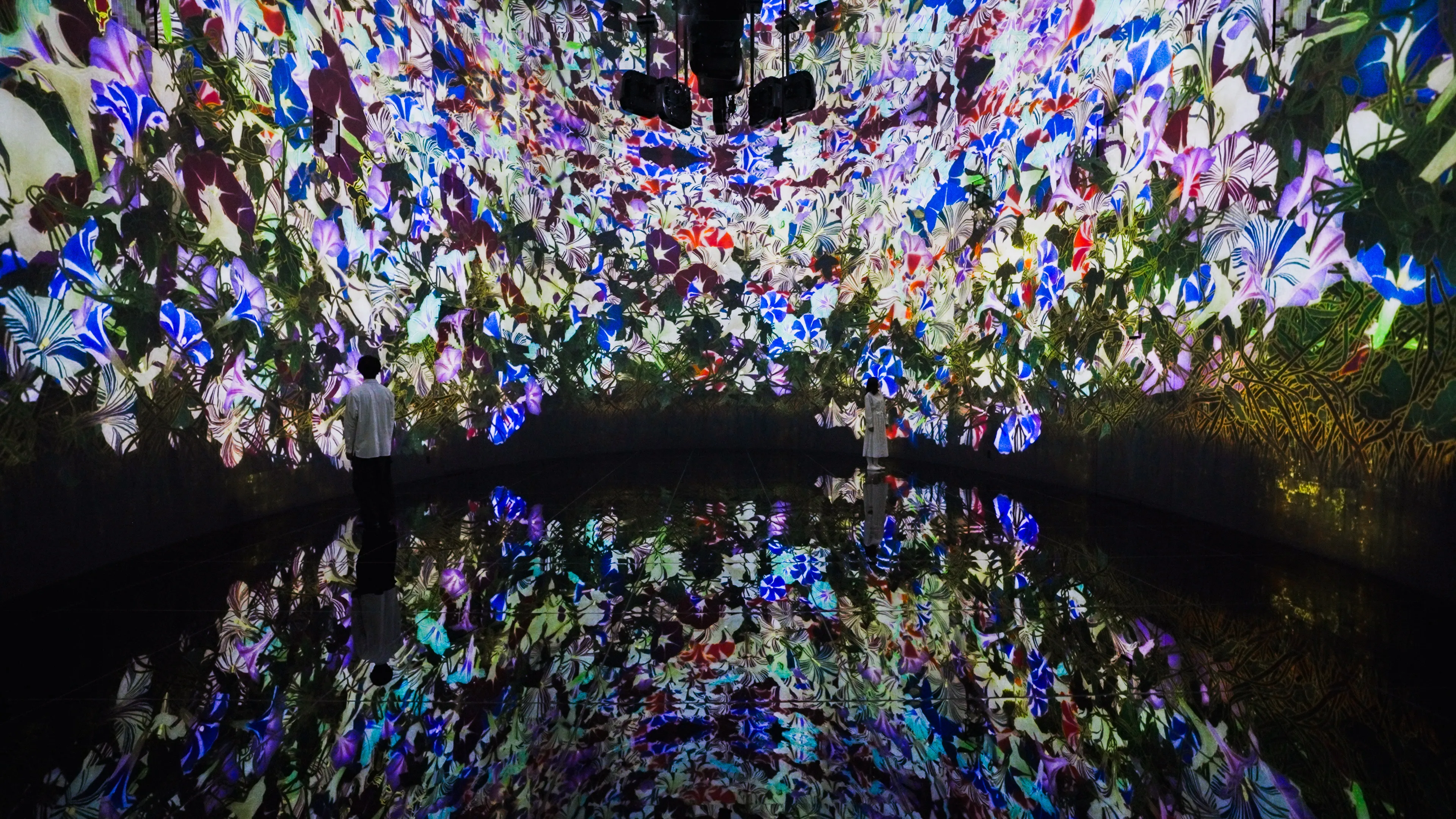 近くの展示画像