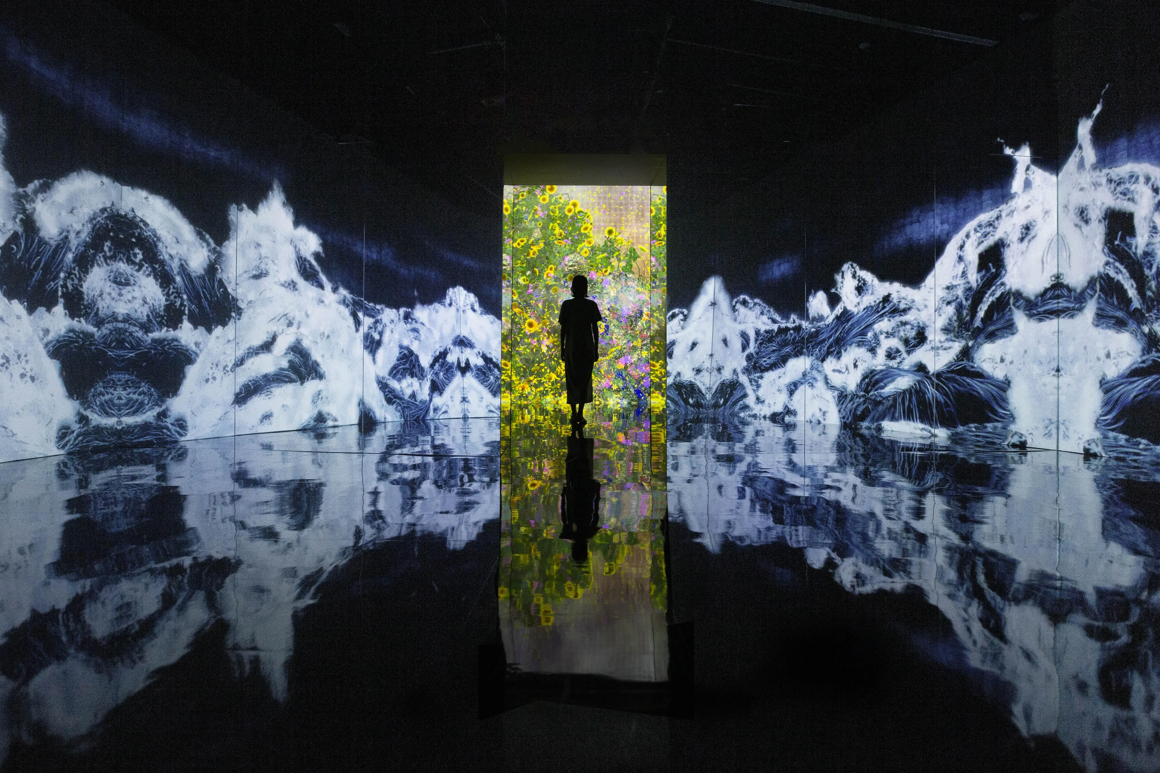 展示画像