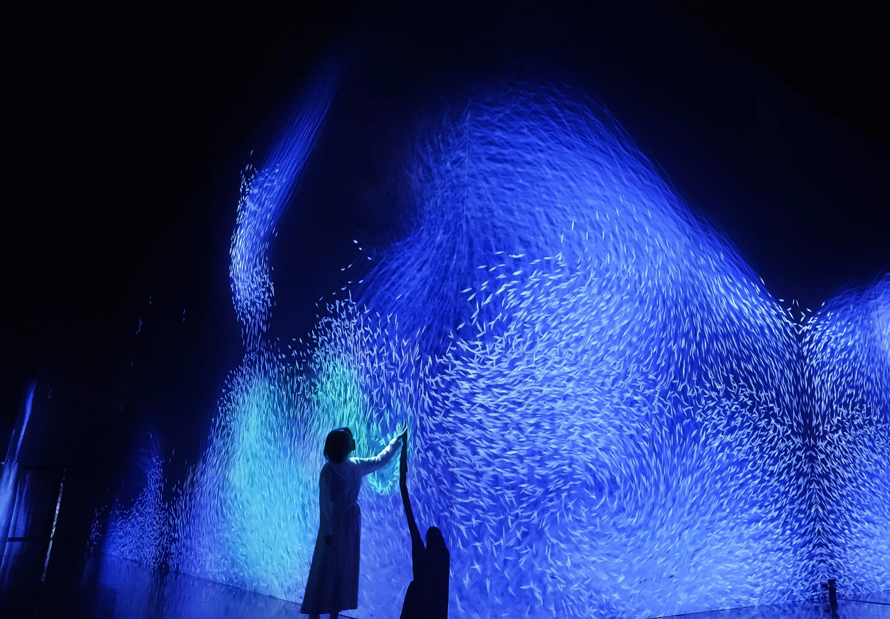 展示テーマ画像