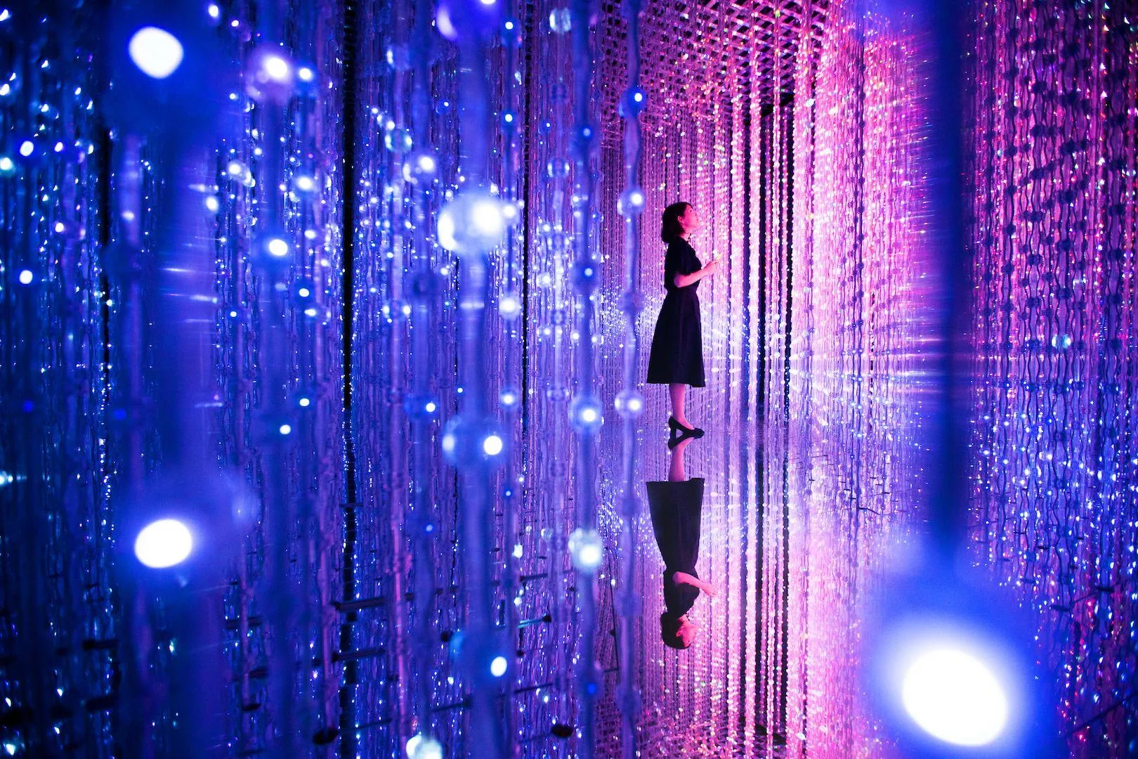 展示画像