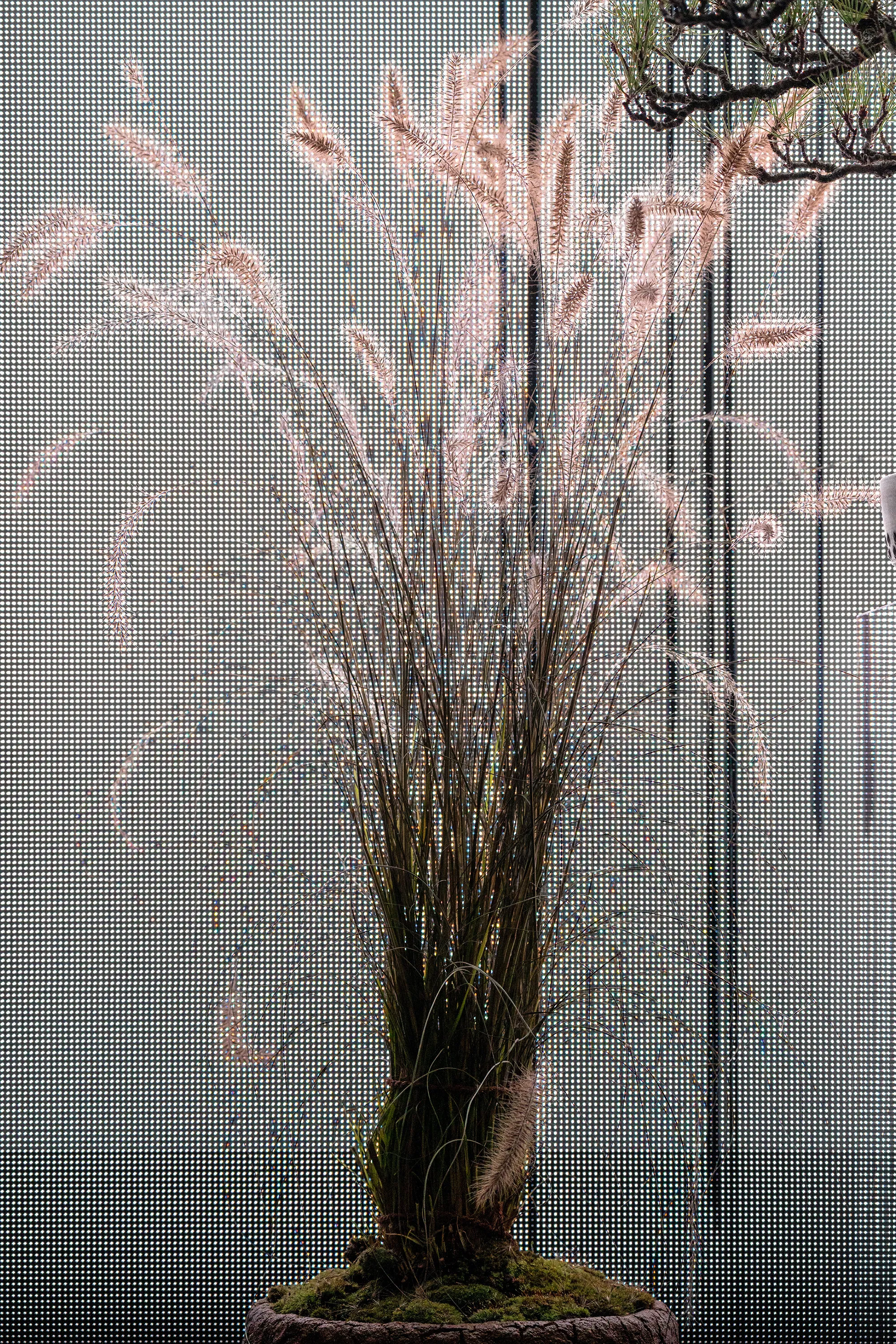 展示テーマ画像