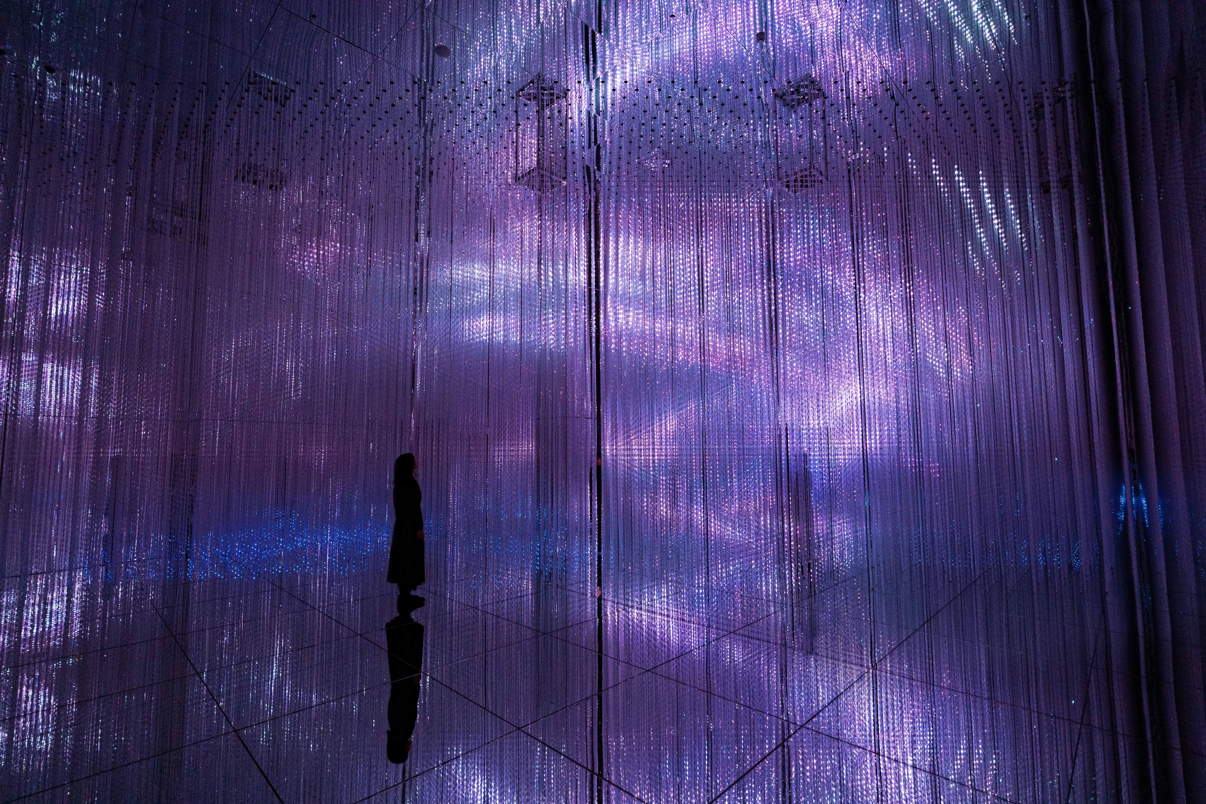 展示テーマ画像