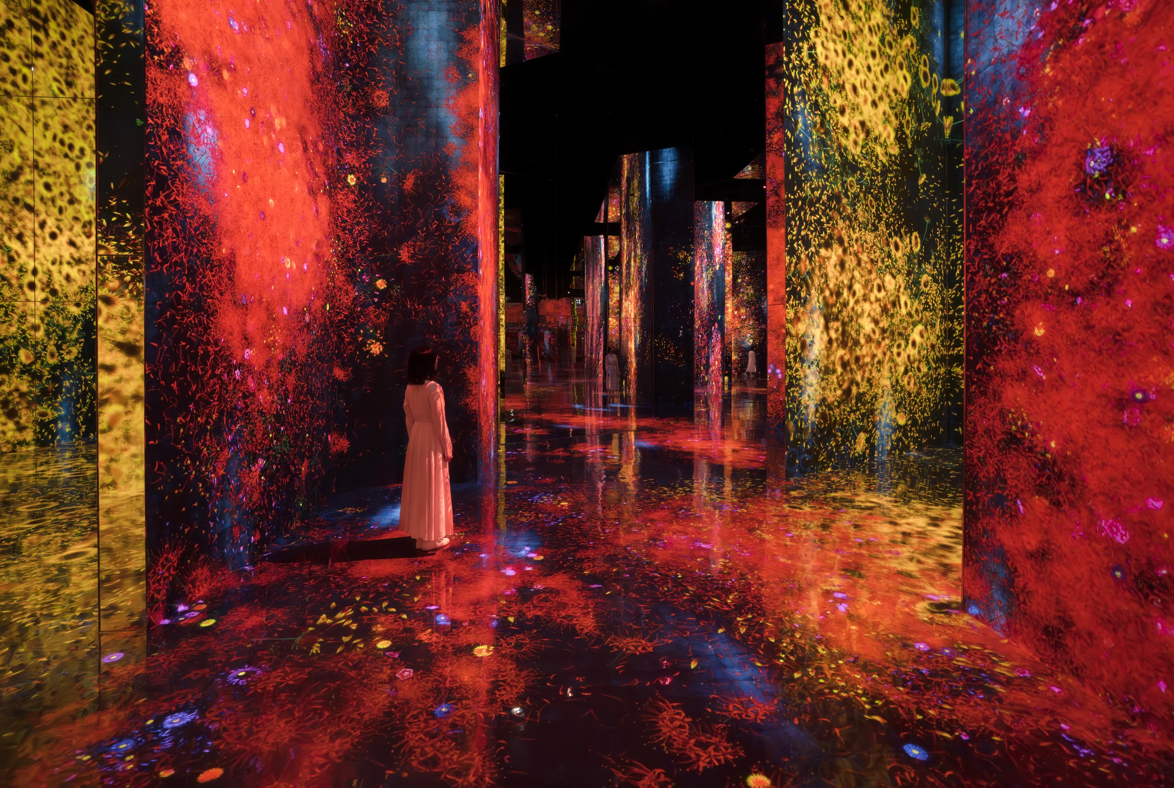 展示テーマ画像