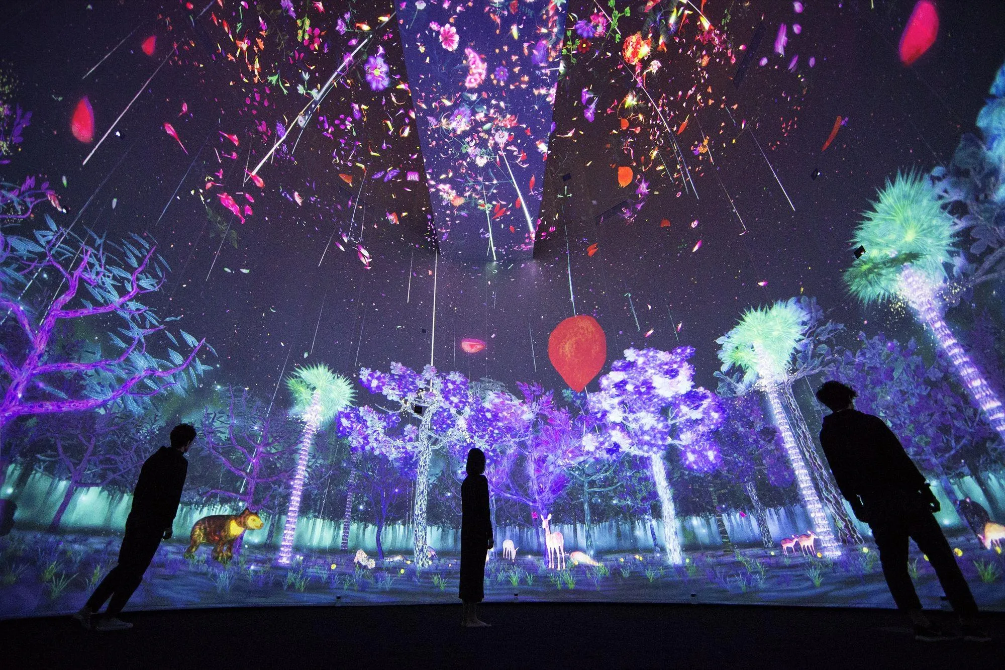 作品画像