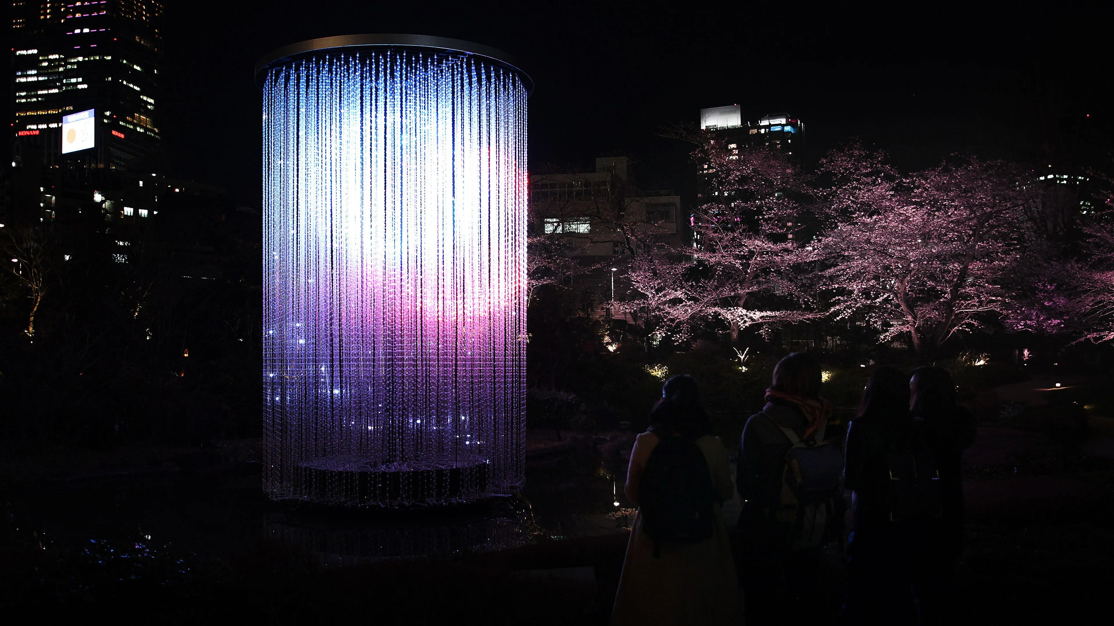 展示画像