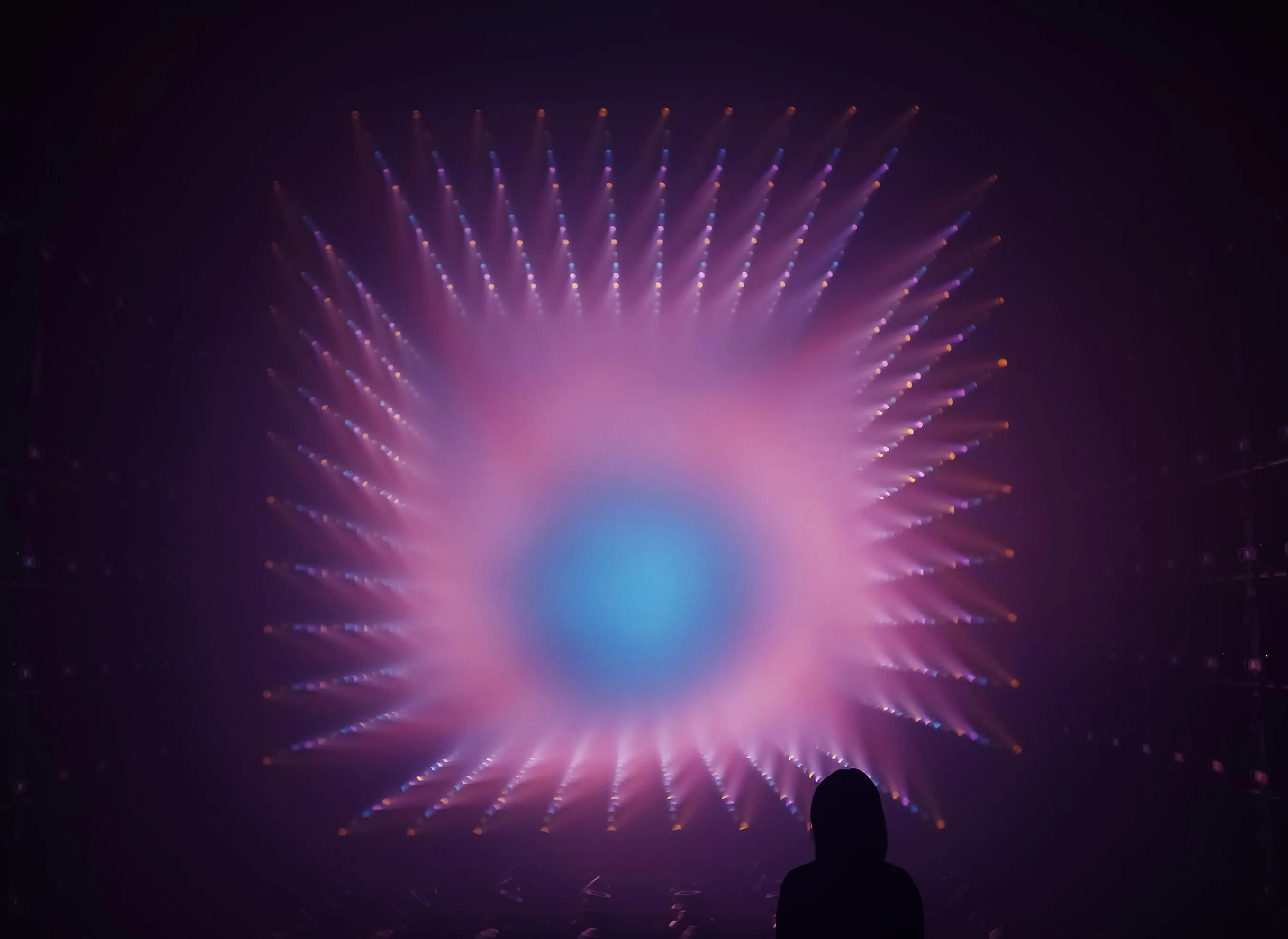 展示テーマ画像