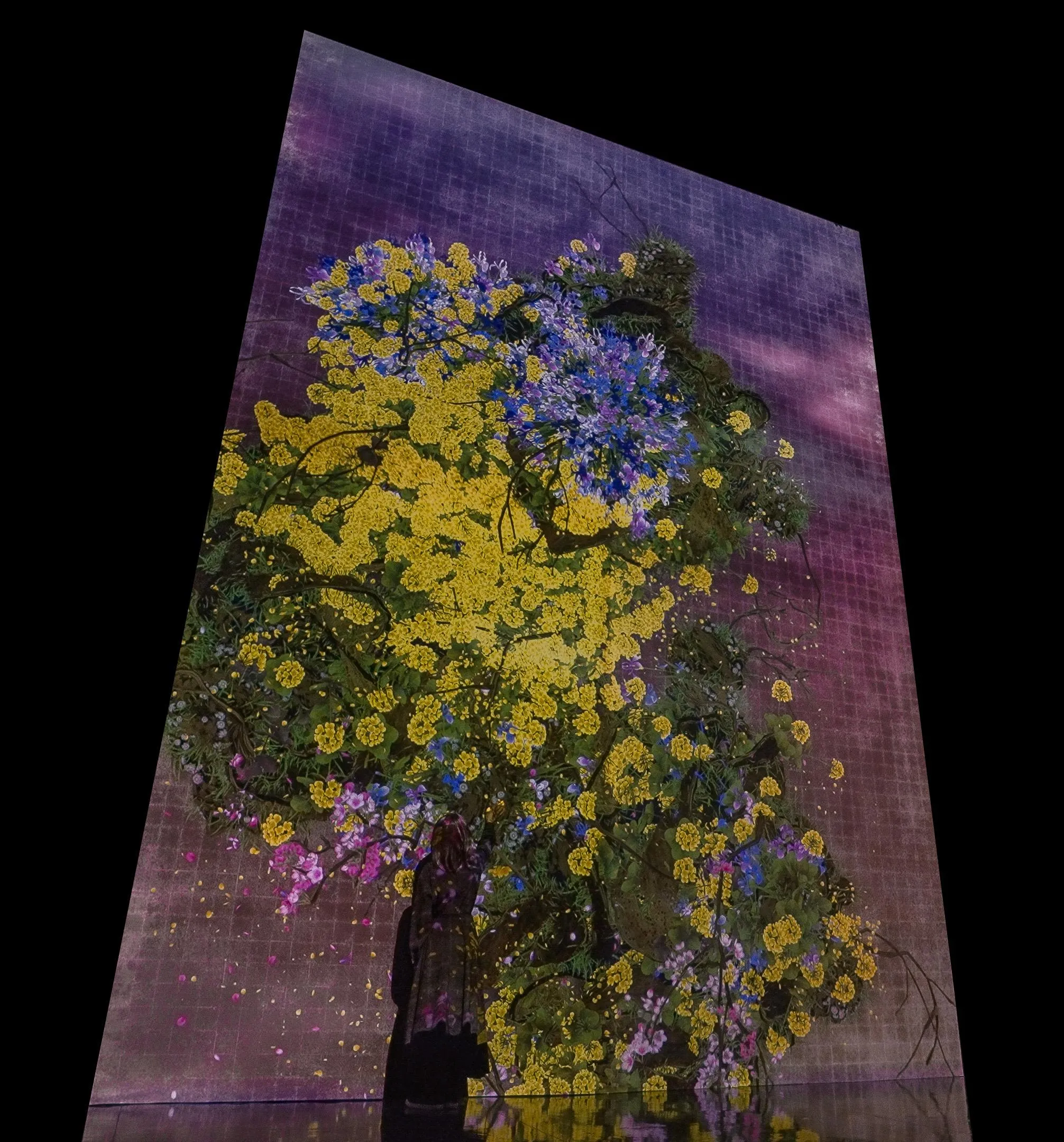 展示テーマ画像
